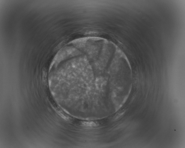 X0000080660281200701121614