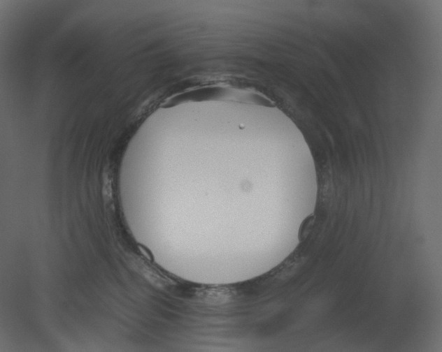 X0000080660282200701121614