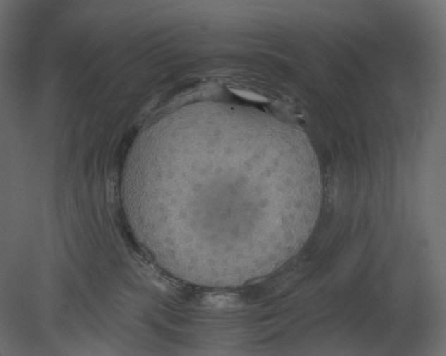 X0000080660283200701121614