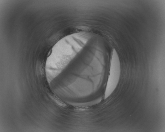 X0000080660285200701121614