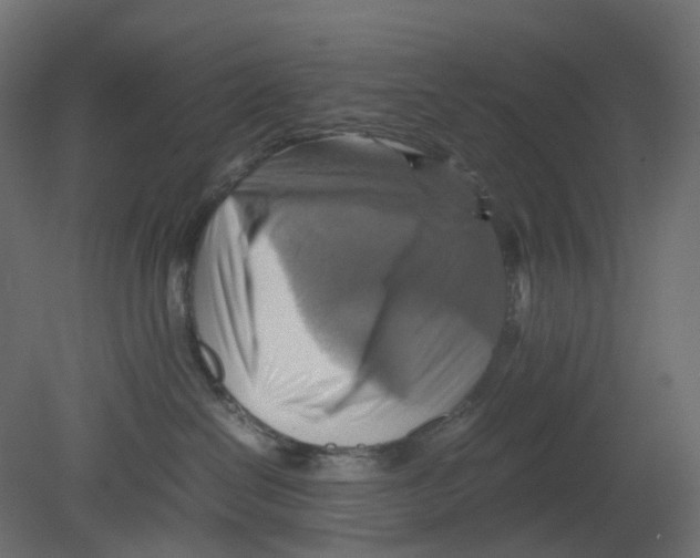 X0000080660286200701121614