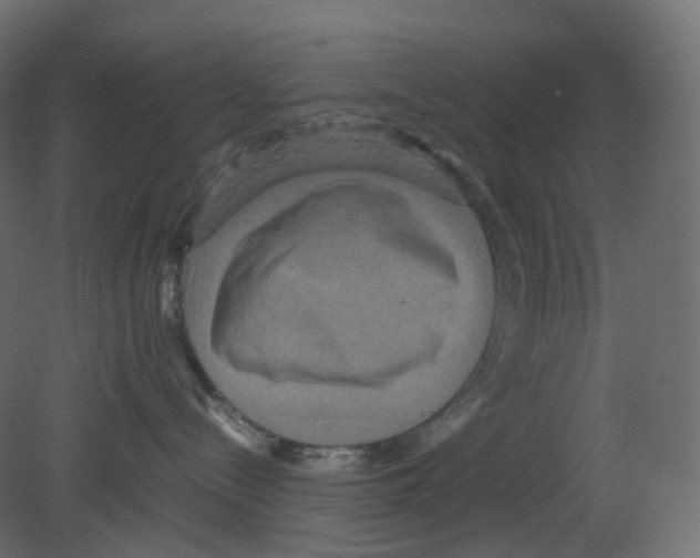 X0000080660288200701121614