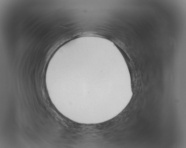 X0000080660289200701121614