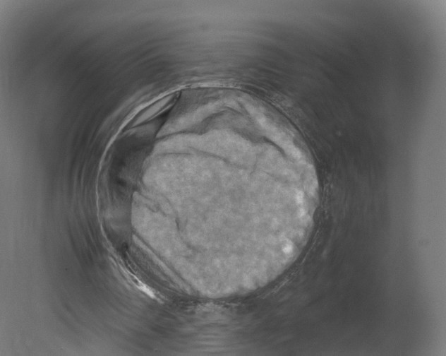 X0000080660290200701121614