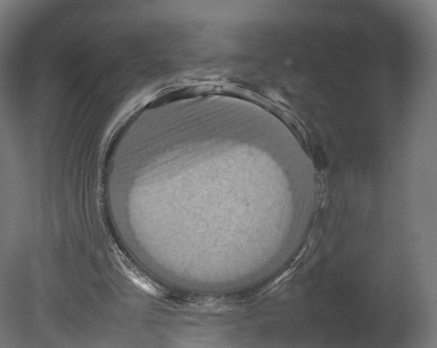 X0000080660293200701121613