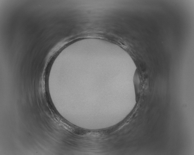 X0000080660294200701121613