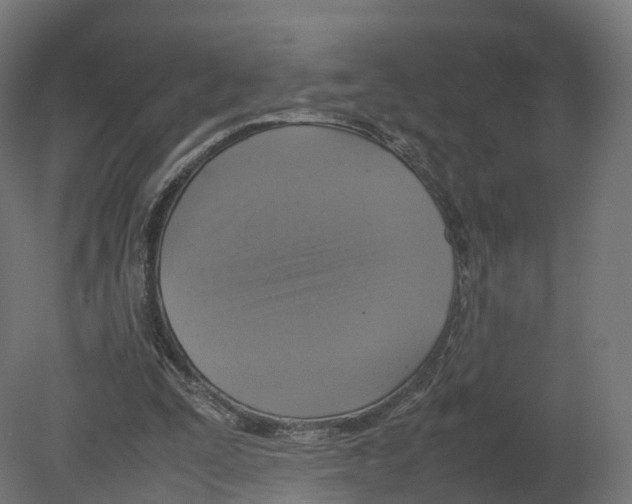 X0000080660295200701121613