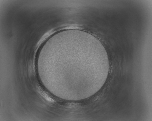 X0000080660296200701121613