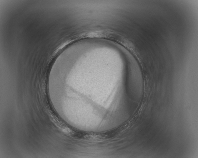 X0000080660297200701121613