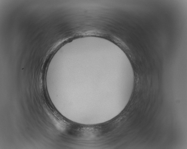 X0000080660298200701121613