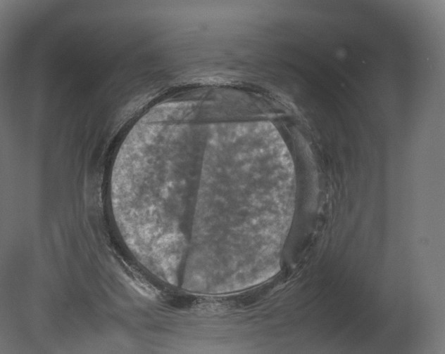 X0000080660299200701121613