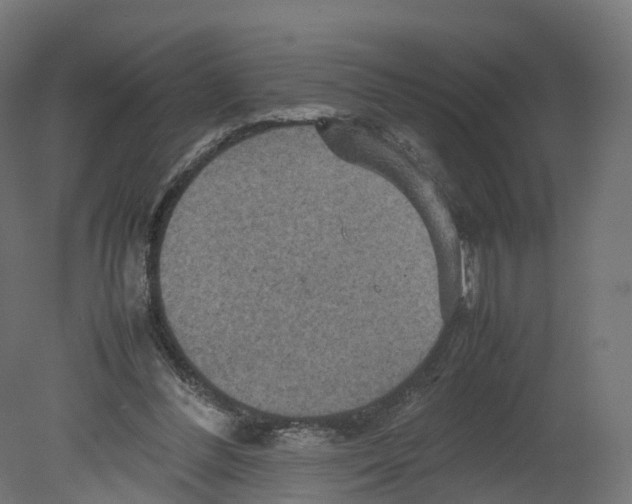 X0000080660300200701121613