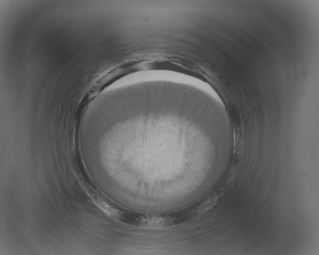 X0000080660301200701121613