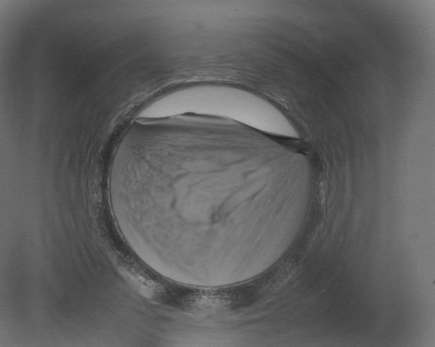 X0000080660303200701121613