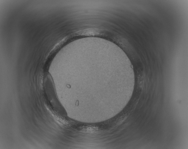 X0000080660304200701121613