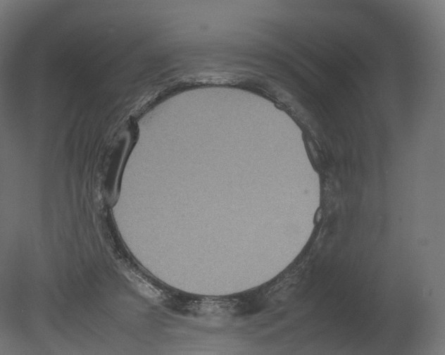 X0000080660305200701121613