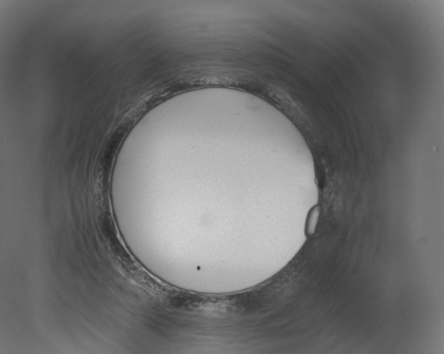 X0000080660306200701121613