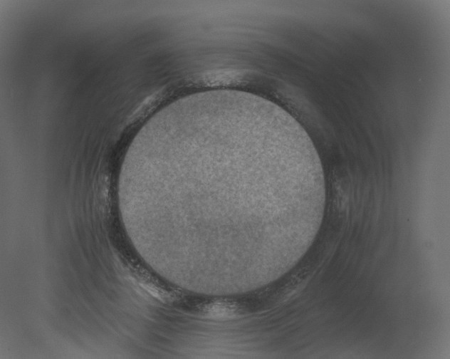 X0000080660308200701121613