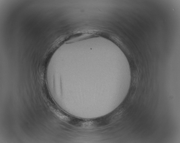 X0000080660309200701121613