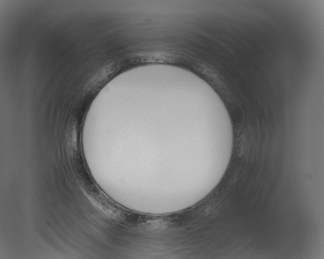 X0000080660310200701121613