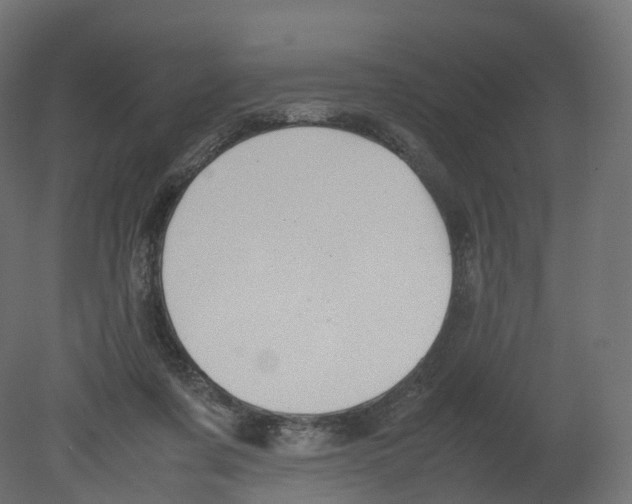 X0000080660311200701121613