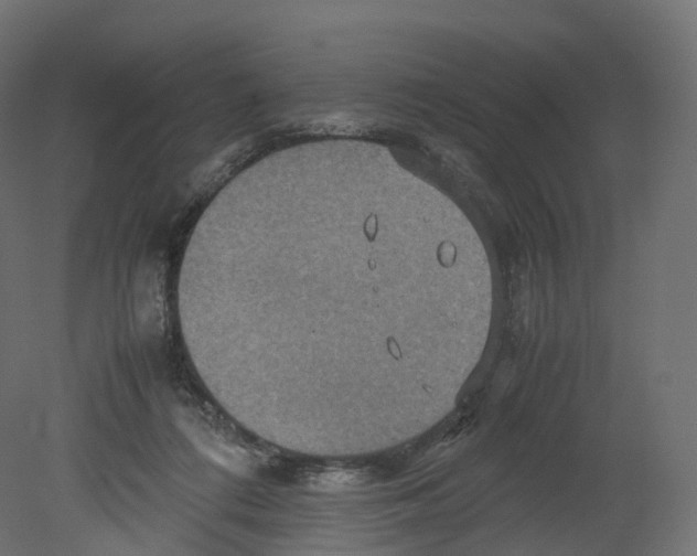 X0000080660312200701121613