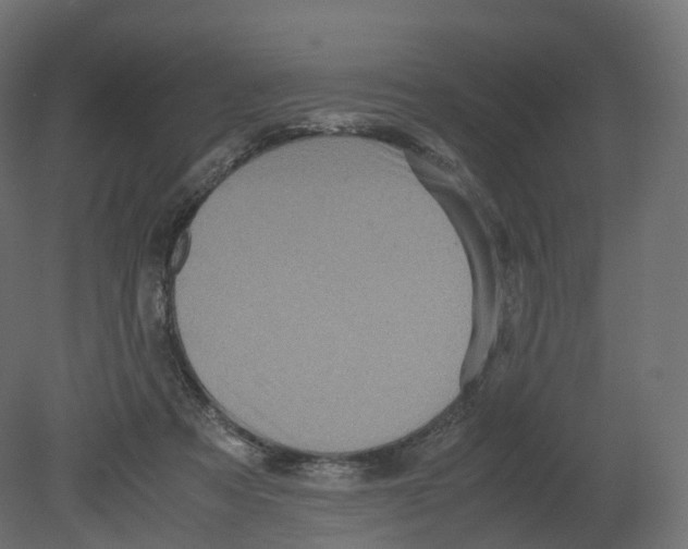 X0000080660313200701121613