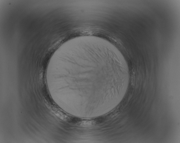 X0000080660314200701121613