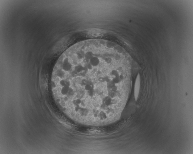 X0000080660315200701121613