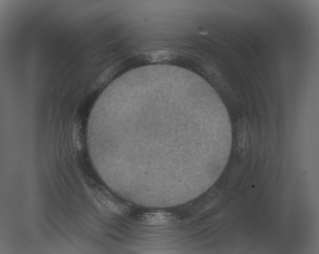 X0000080660316200701121613