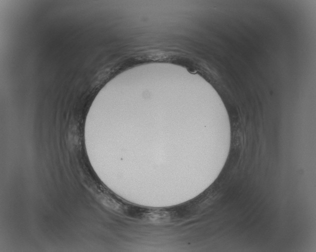 X0000080660317200701121613