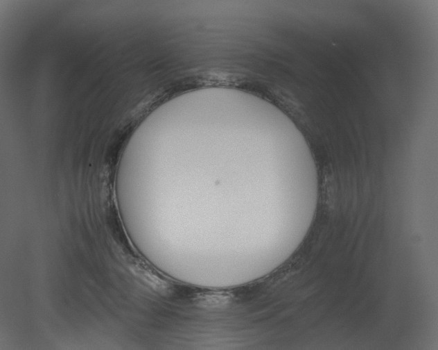 X0000080660318200701121613