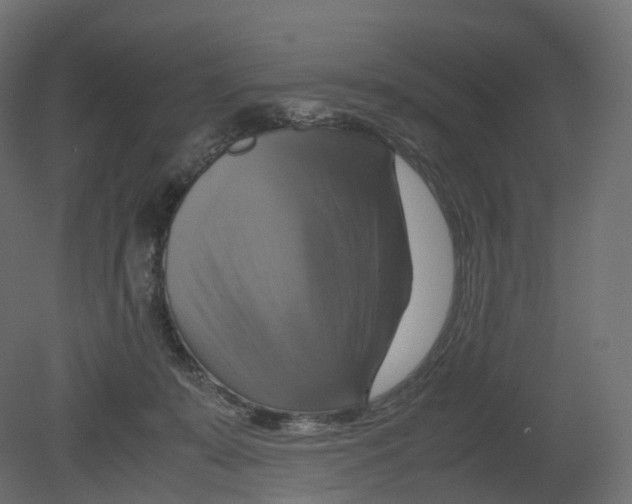 X0000080660319200701121613