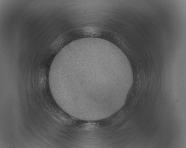 X0000080660320200701121613