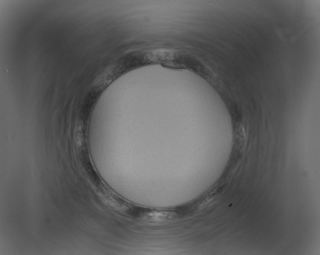 X0000080660323200701121613