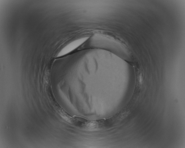 X0000080660325200701121613