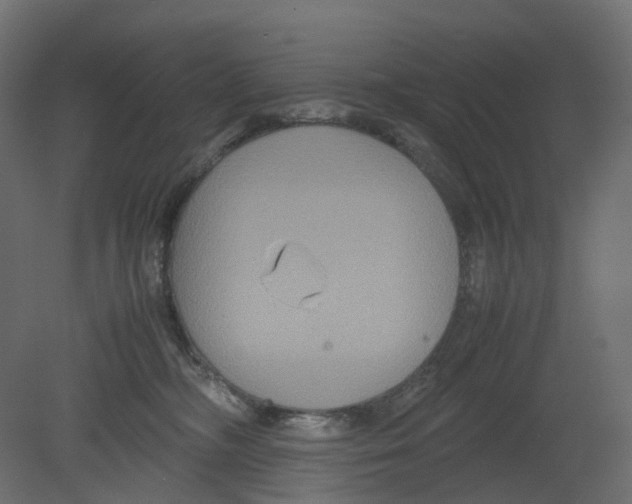 X0000080660326200701121613