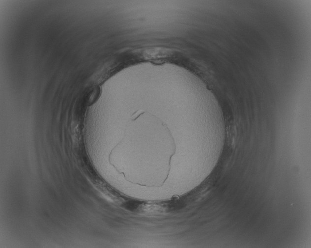 X0000080660327200701121613