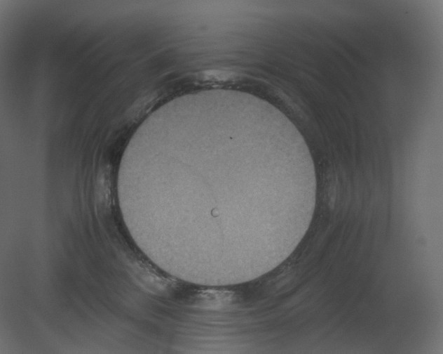 X0000080660328200701121613