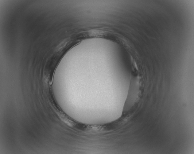 X0000080660329200701121613