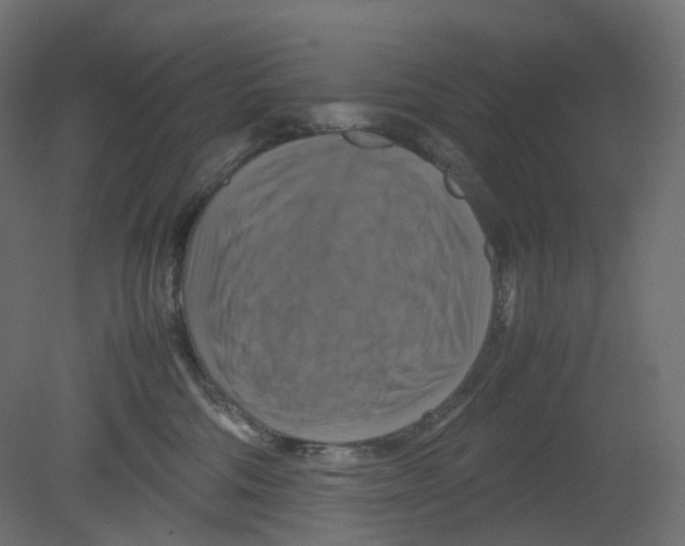 X0000080660330200701121613