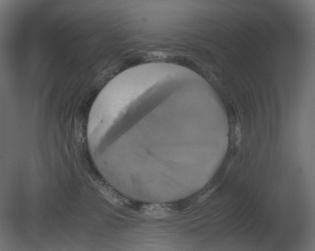 X0000080660331200701121613