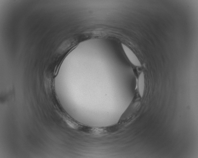 X0000080660333200701121613