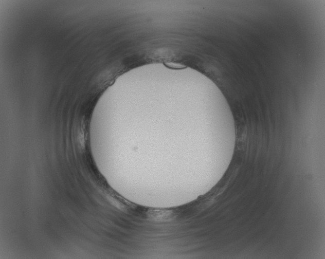 X0000080660334200701121613