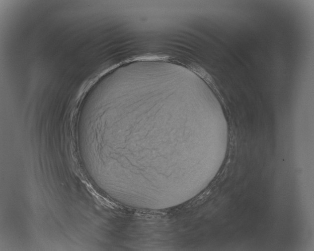 X0000080660337200701121612