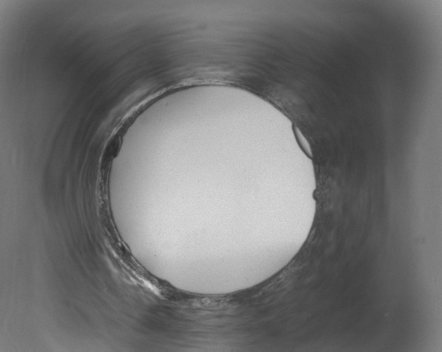 X0000080660338200701121612