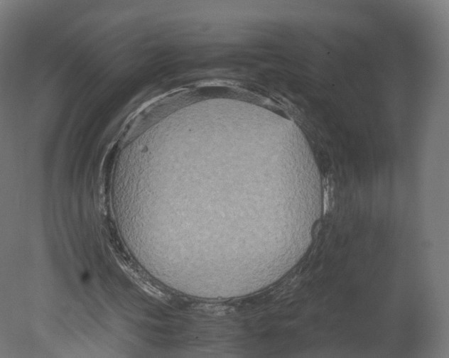 X0000080660339200701121612