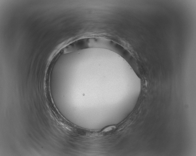 X0000080660340200701121612