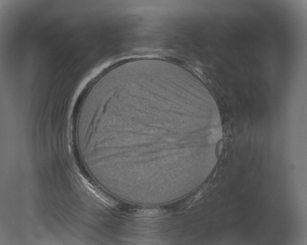 X0000080660342200701121612