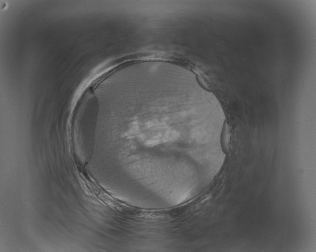 X0000080660343200701121612